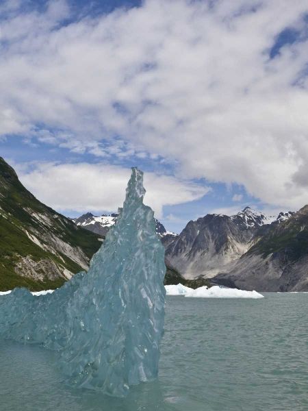 AK, Glacier Bay NP Floating iceberg